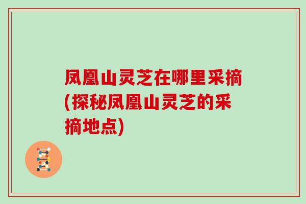 凤凰山灵芝在哪里采摘(探秘凤凰山灵芝的采摘地点)