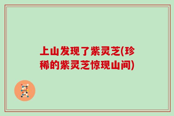 上山发现了紫灵芝(珍稀的紫灵芝惊现山间)