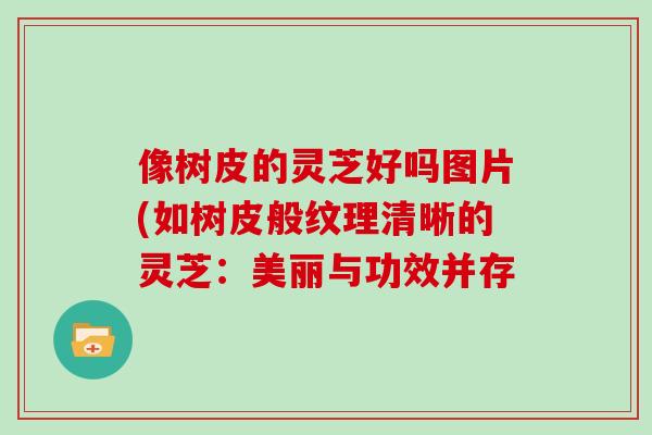 像树皮的灵芝好吗图片(如树皮般纹理清晰的灵芝：美丽与功效并存