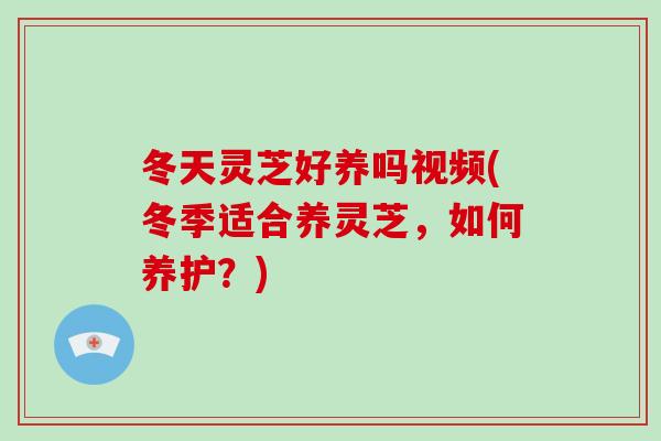 冬天灵芝好养吗视频(冬季适合养灵芝，如何养护？)