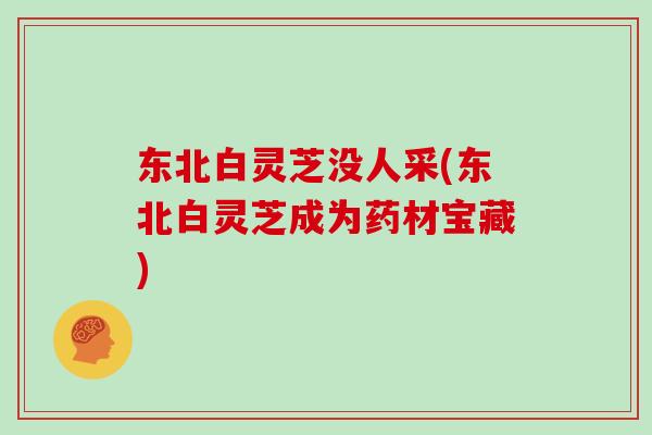 东北白灵芝没人采(东北白灵芝成为药材宝藏)