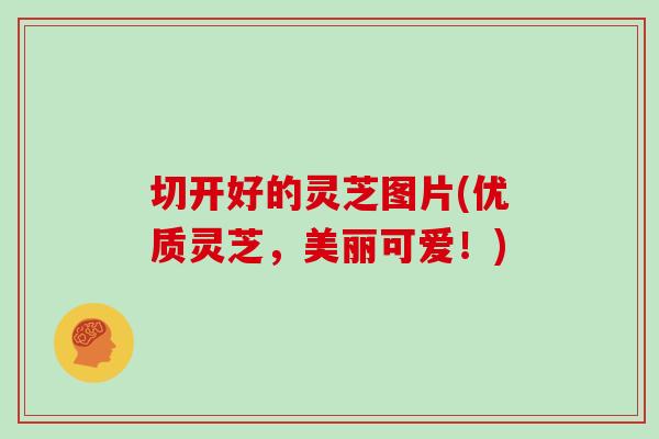 切开好的灵芝图片(优质灵芝，美丽可爱！)