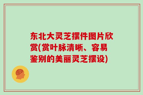 东北大灵芝摆件图片欣赏(赏叶脉清晰、容易鉴别的美丽灵芝摆设)