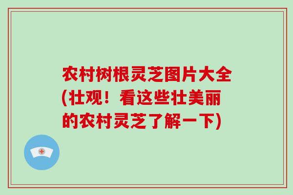 农村树根灵芝图片大全(壮观！看这些壮美丽的农村灵芝了解一下)