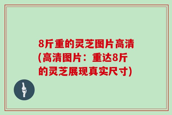 8斤重的灵芝图片高清(高清图片：重达8斤的灵芝展现真实尺寸)