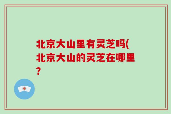 北京大山里有灵芝吗(北京大山的灵芝在哪里？