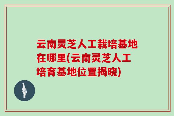 云南灵芝人工栽培基地在哪里(云南灵芝人工培育基地位置揭晓)
