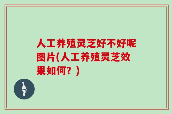 人工养殖灵芝好不好呢图片(人工养殖灵芝效果如何？)