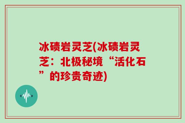 冰碛岩灵芝(冰碛岩灵芝：北极秘境“活化石”的珍贵奇迹)
