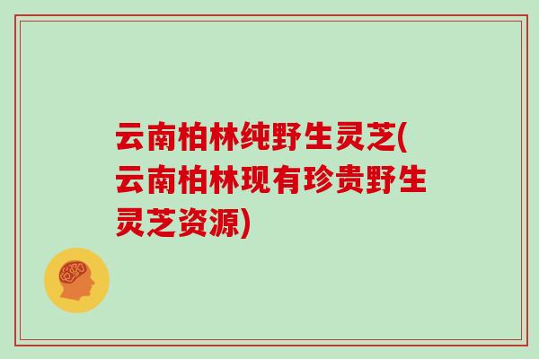 云南柏林纯野生灵芝(云南柏林现有珍贵野生灵芝资源)