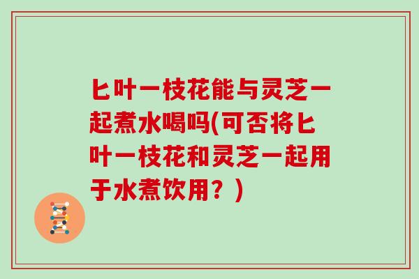 匕叶一枝花能与灵芝一起煮水喝吗(可否将匕叶一枝花和灵芝一起用于水煮饮用？)