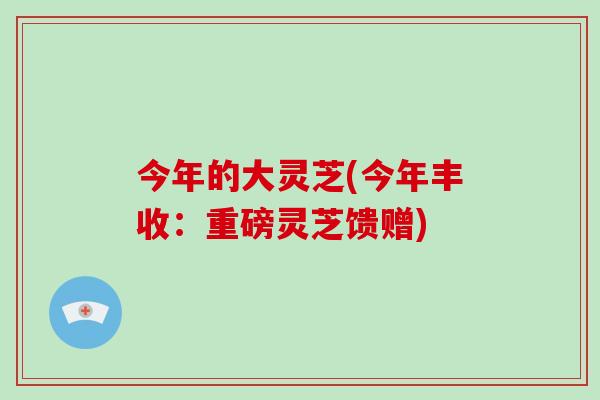 今年的大灵芝(今年丰收：重磅灵芝馈赠)