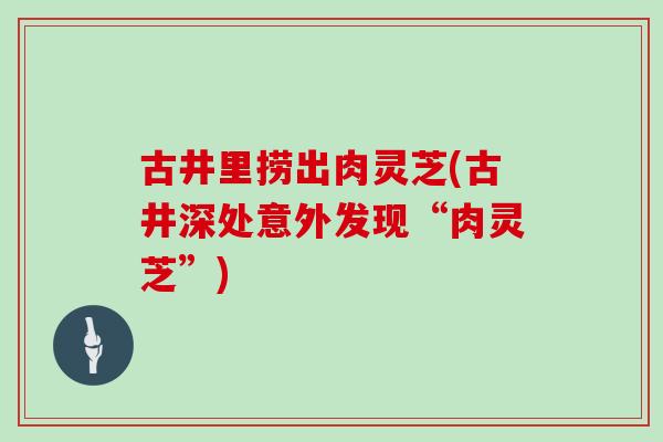 古井里捞出肉灵芝(古井深处意外发现“肉灵芝”)