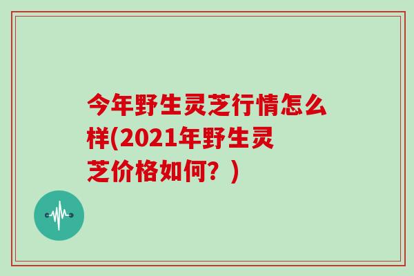 今年野生灵芝行情怎么样(2021年野生灵芝价格如何？)