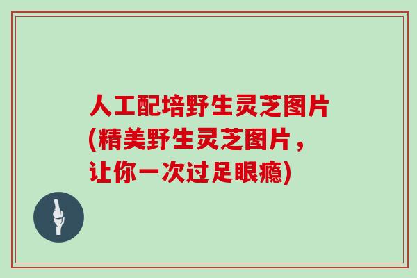人工配培野生灵芝图片(精美野生灵芝图片，让你一次过足眼瘾)
