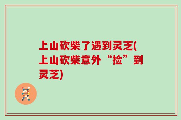 上山砍柴了遇到灵芝(上山砍柴意外“捡”到灵芝)