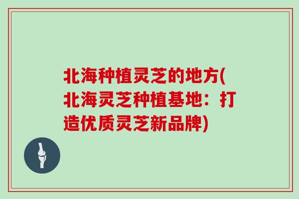 北海种植灵芝的地方(北海灵芝种植基地：打造优质灵芝新品牌)