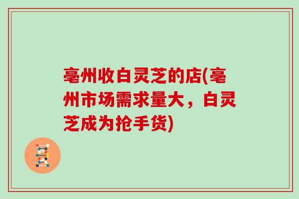 亳州收白灵芝的店(亳州市场需求量大,白灵芝成为抢手货)-第1张图片-灵芝大师 亳州收白灵芝的店(亳州市场需求量大,白灵芝成为抢手货)-第1张图片-灵芝大师