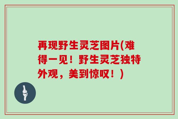 再现野生灵芝图片(难得一见！野生灵芝独特外观，美到惊叹！)