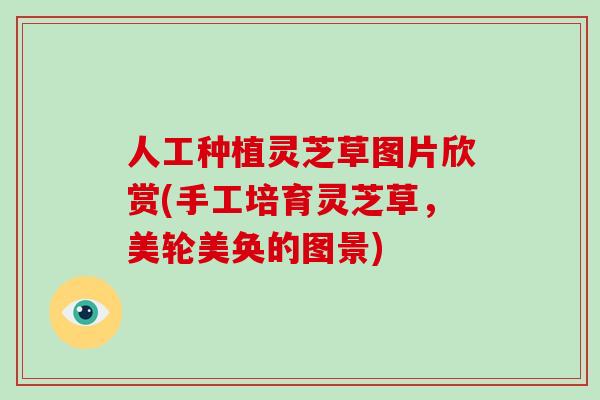 人工种植灵芝草图片欣赏(手工培育灵芝草，美轮美奂的图景)