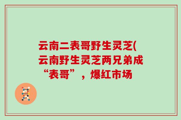 云南二表哥野生灵芝(云南野生灵芝两兄弟成“表哥”，爆红市场