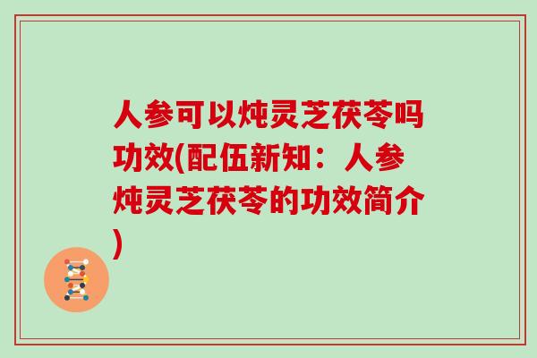 人参可以炖灵芝茯苓吗功效(配伍新知：人参炖灵芝茯苓的功效简介)