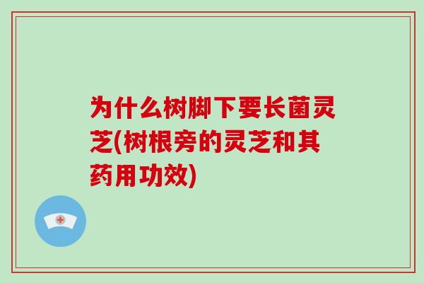 为什么树脚下要长菌灵芝(树根旁的灵芝和其药用功效)