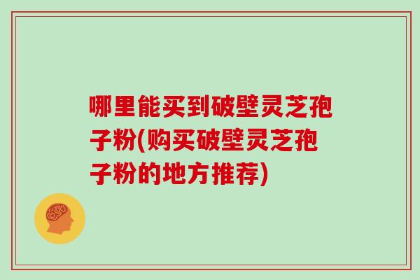 哪里能买到破壁灵芝孢子粉(购买破壁灵芝孢子粉的地方推荐)