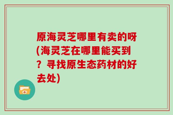 原海灵芝哪里有卖的呀(海灵芝在哪里能买到？寻找原生态药材的好去处)