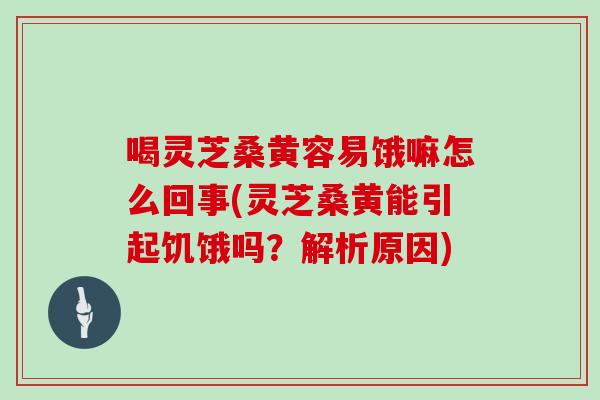 喝灵芝桑黄容易饿嘛怎么回事(灵芝桑黄能引起饥饿吗？解析原因)