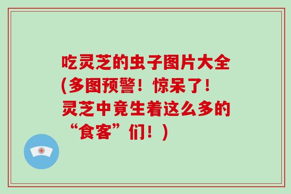 吃灵芝的虫子图片大全(多图预警！惊呆了！灵芝中竟生着这么多的“食客”们！)
