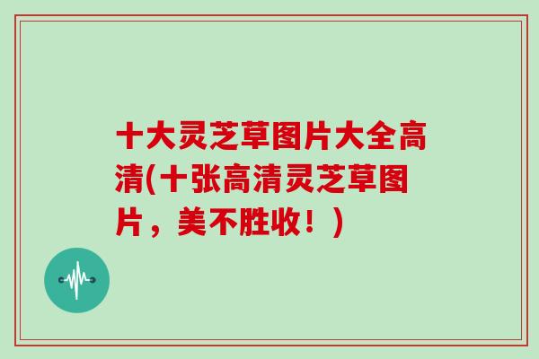 十大灵芝草图片大全高清(十张高清灵芝草图片，美不胜收！)