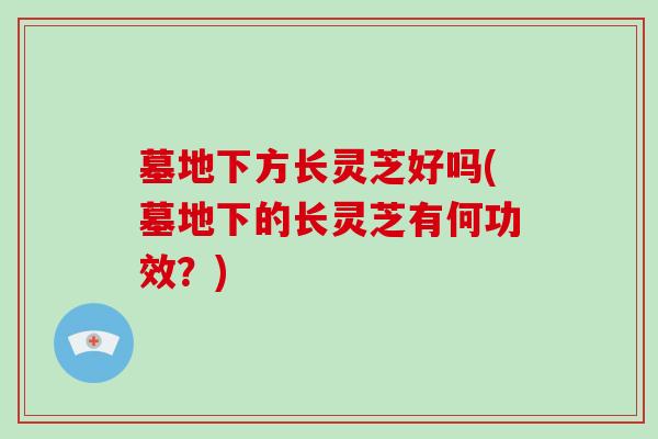 墓地下方长灵芝好吗(墓地下的长灵芝有何功效？)