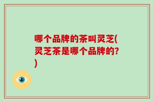 哪个品牌的茶叫灵芝(灵芝茶是哪个品牌的？)
