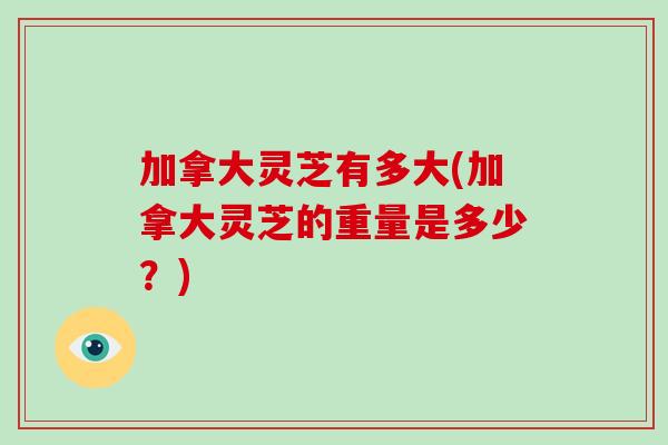 加拿大灵芝有多大(加拿大灵芝的重量是多少？)