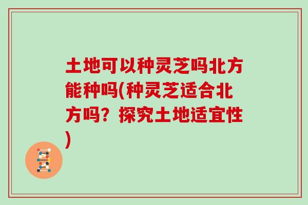 土地可以种灵芝吗北方能种吗(种灵芝适合北方吗？探究土地适宜性)