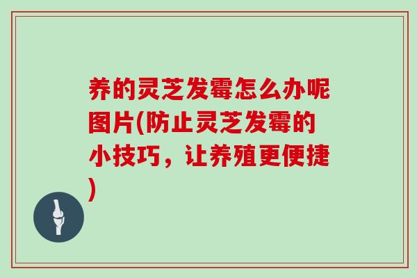 养的灵芝发霉怎么办呢图片(防止灵芝发霉的小技巧，让养殖更便捷)