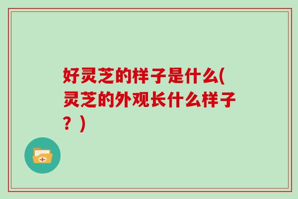 好灵芝的样子是什么(灵芝的外观长什么样子？)