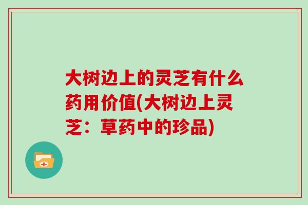 大树边上的灵芝有什么药用价值(大树边上灵芝：草药中的珍品)
