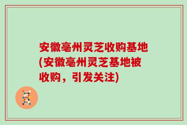 安徽亳州灵芝收购基地(安徽亳州灵芝基地被收购，引发关注)