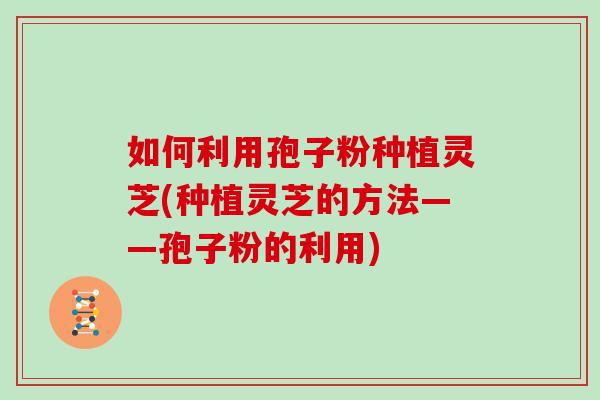 如何利用孢子粉种植灵芝(种植灵芝的方法——孢子粉的利用)-第1张图片-灵芝大师 如何利用孢子粉种植灵芝(种植灵芝的方法——孢子粉的利用)-第1张图片-灵芝大师