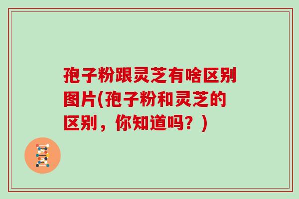 孢子粉跟灵芝有啥区别图片(孢子粉和灵芝的区别，你知道吗？)