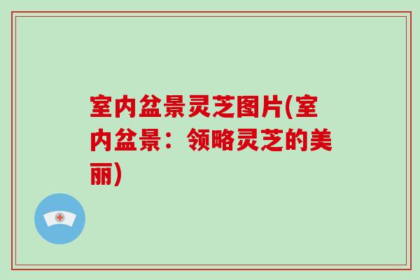室内盆景灵芝图片(室内盆景：领略灵芝的美丽)