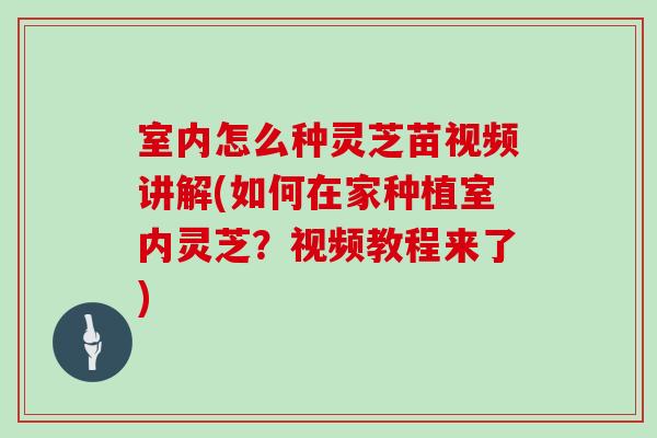 室内怎么种灵芝苗视频讲解(如何在家种植室内灵芝？视频教程来了)