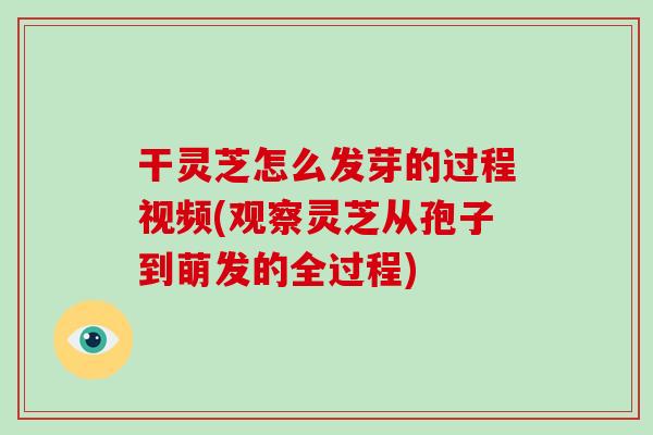 干灵芝怎么发芽的过程视频(观察灵芝从孢子到萌发的全过程)