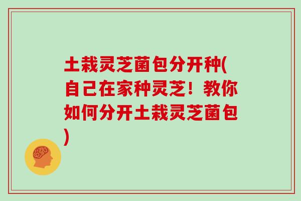 土栽灵芝菌包分开种(自己在家种灵芝!教你如何分开土栽灵芝菌包)-第1张图片-灵芝大师 土栽灵芝菌包分开种(自己在家种灵芝!教你如何分开土栽灵芝菌包)-第1张图片-灵芝大师