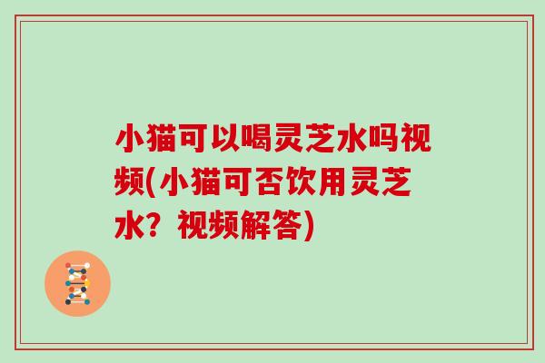 小猫可以喝灵芝水吗视频(小猫可否饮用灵芝水?视频解答)-第1张图片-灵芝大师 小猫可以喝灵芝水吗视频(小猫可否饮用灵芝水?视频解答)-第1张图片-灵芝大师