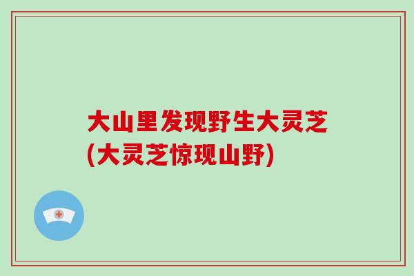 大山里发现野生大灵芝(大灵芝惊现山野)