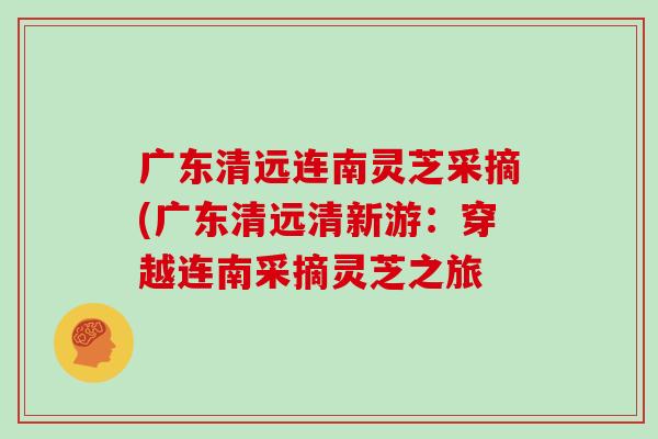 广东清远连南灵芝采摘(广东清远清新游：穿越连南采摘灵芝之旅