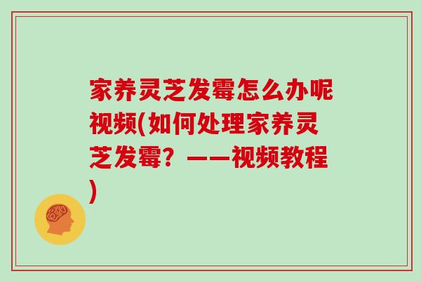 家养灵芝发霉怎么办呢视频(如何处理家养灵芝发霉？——视频教程)